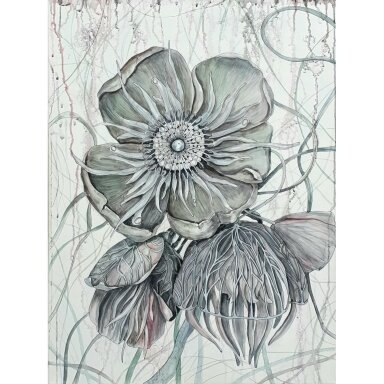Picture "Helebores"